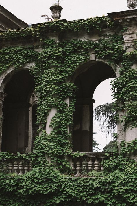 Dark Castle Garden Aesthetic, Overgrown Castle, Green Academia, Lauren Roberts, Architecture Nature, Dark Castle, Eco Architecture, Ancient Forest, Secret Places