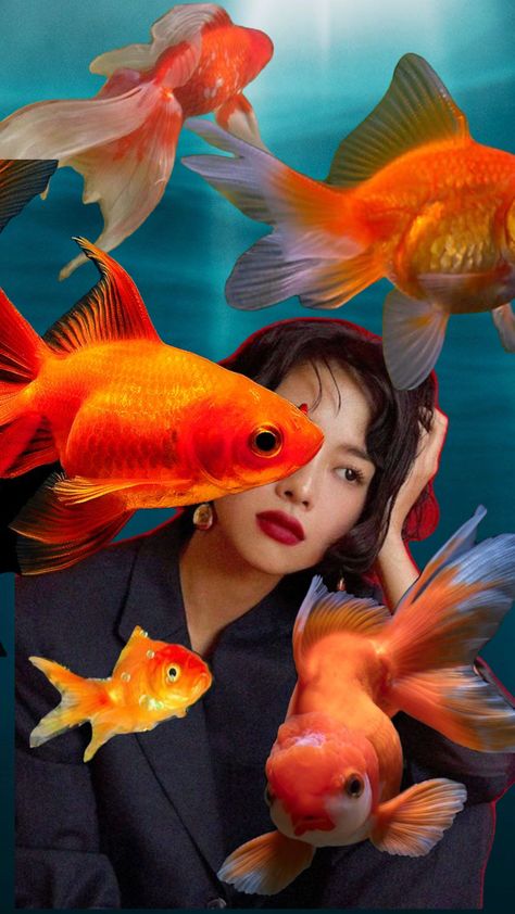 #collage #artcollage #art #surrreal #surrealism #surrealart #goldfish Goldfish Surrealism, Goldfish Reference, Gold Fish Aesthetic, Goldfish Aesthetic, Aesthetic Portraits, Fish Collage, Photoshop Wallpapers, Goldfish Art, Child Art