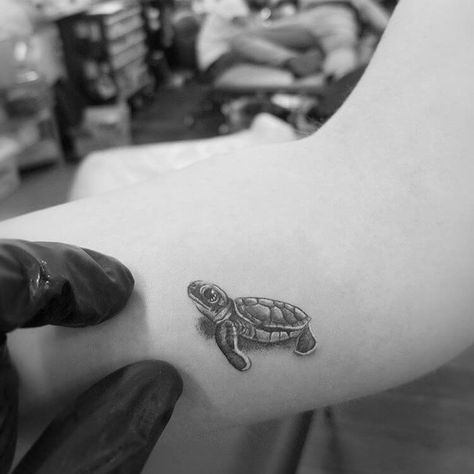 21+Small & Simple Turtle Tattoo Designs | PetPress Turtle Tattoo Black And White, Tortoise Tattoos, Small Turtle Tattoo, Tortoise Tattoo, Lotusblume Tattoo, Micro Tattoo, Turtle Tattoos, Tattoo Black And White, Hawaii Tattoos