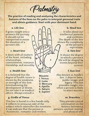 When you come across the term ‘palmistry,’ you picture a scenario where a palm reader holds your outstretched hand in a semi-lit room, analyzing the lines on your palm. And you are not far from the truth. But did you know that you can read the lines of your hand yourself? Reading the lines of the palm, which are creases and folds, can provide lots of information about a person, and are therefore used as a divination technique. So, by definition, palmistry is the practice of reading an... How To Read Palms Palmistry, How To Read A Palm, Palmistry Reading For Beginners, Palm Reading Guide, Reading Palms Hands, Book Of Shadows Palmistry, How To Read Hands, Palm Reading Poster, Left Hand Palm Reading