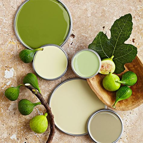 For hues taken straight from nature, try these green paint colors: http://www.bhg.com/decorating/color/green-paint-colors/?socsrc=bhgpin031414earthygreen&page=4 Mint Green Paints, Green Wall Color, Pintura Exterior, Green Paint Colors, Exterior Paint Colors For House, Storing Paint, Living Room Green, Interior Paint Colors, House Paint Exterior