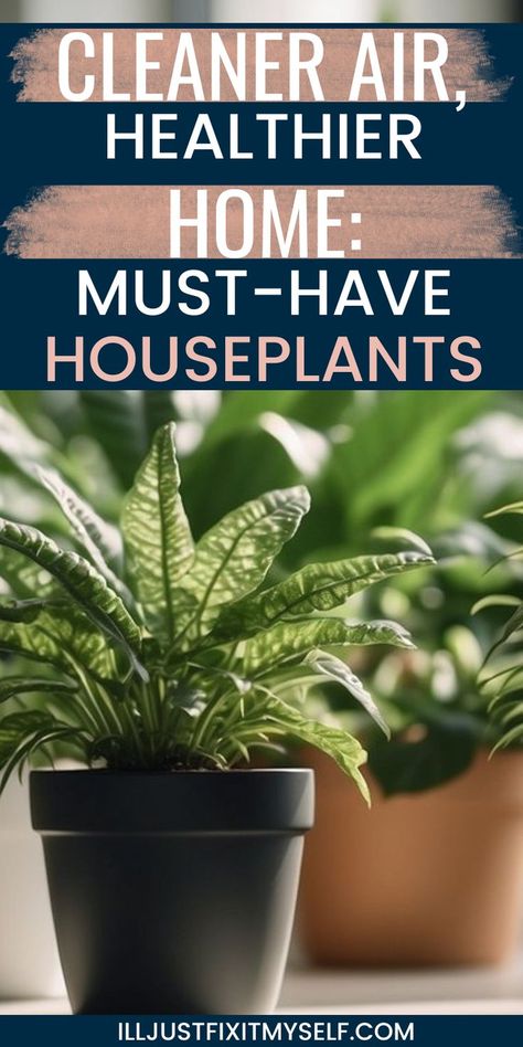 A collection of vibrant green houseplants on a stylish shelf, showcasing house plants for air purification and aesthetic appeal Plants For Air Quality, Plants For Air Purification, Sleep On Left Side, Best House Plants, Plant Benefits, Menstrual Health, Sleep Health, Beauty And Health, Best Indoor Plants