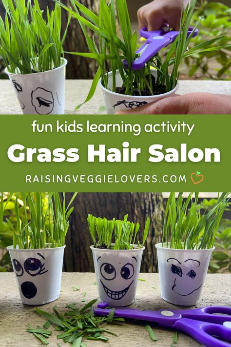 Plant Activities For Preschoolers, Growing Things Activities For Preschool, Garden Lessons For Preschool, Preschool Plants Activities, Plant Curriculum Preschool, Toddler Plant Activities, Plant Activities Preschool, Plants Preschool Theme, Plant Toddler Activities