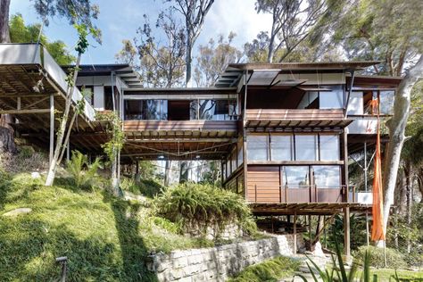 Modern House: West Head House by Peter Stutchbury Peter Stutchbury, Pole House, Slope House, Hillside House, Cottage Rental, Australian Architecture, Lake Cottage, Modern Beach House, Australian Homes