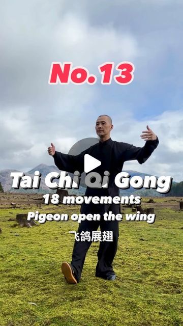 Tai Chi For Beginners, Chi Gong, Tai Chi Qigong, Tai Chi Chuan, Qi Gong, The Wings, Chinese Medicine, Tai Chi, May 7