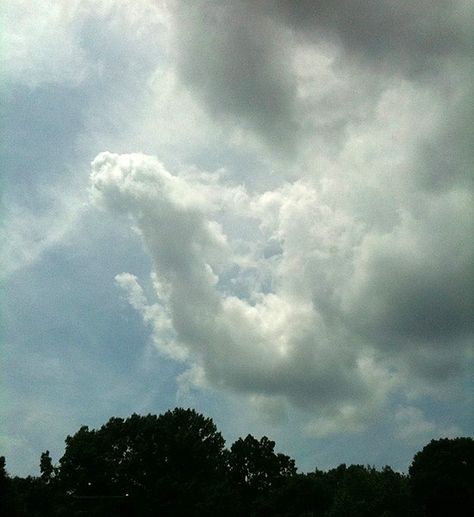 cloud animal Cloud Animals, Cloud Dragon, Cloud Images, Art Clouds, Angel Clouds, Puffy Clouds, Mythical Dragons, Stone Statue, Fairy Dragon