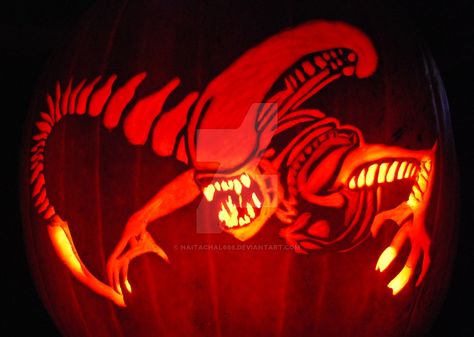 Alien Pumpkin by Naitachal666 on DeviantArt Alien Pumpkin, Halloween Pumpkins Carvings Designs, Alien Movie, Pumpkin Carving Contest, Creative Pumpkin Carving, Amazing Pumpkin Carving, Pumpkin Carving Designs, Halloween Pumpkin Designs, Pumpkin Carving Patterns