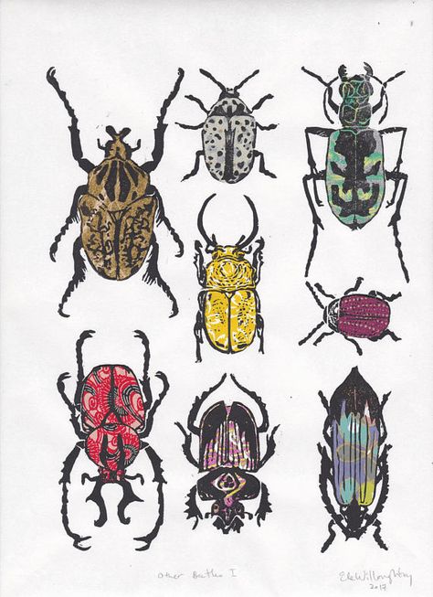 Other Beetles VII - Hand-printed Linocut Print of a Collection of Beetles on Various Pattterned Japa Printmaking Relief, Goliath Beetle, Lino Block, Color Pen, Insect Art, Monoprint, Japanese Paper, Lino Print, Linocut Prints