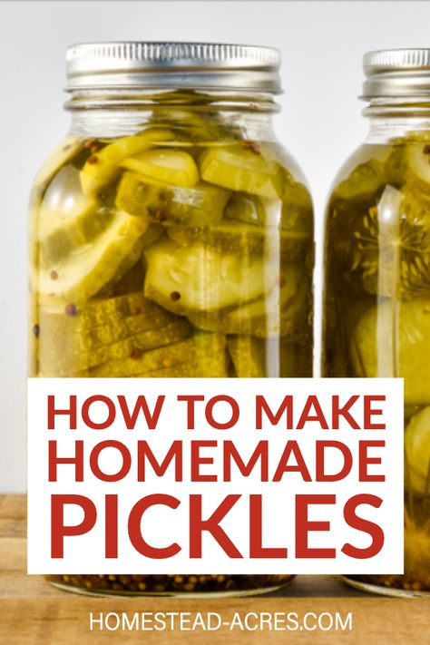 Classic Dill Pickle Recipe, Bread And Butter Pickles Canning, Make Dill Pickles, Bread And Butter Pickles Recipe, Canning Pickles Recipe, Easy Dill Pickles, Bread N Butter Pickle Recipe, Making Dill Pickles, Garlic Dill Pickles