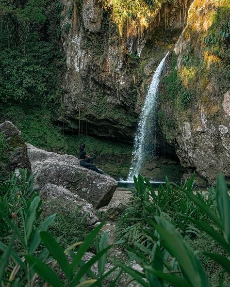 Have you ever heard of Sierra Norte de Puebla, Mexico? 🌄 This stunning region is home to some of our incredible artisans and their rich cultural heritage. 🧵🌿 Sierra Norte de Puebla is a treasure trove of history, architecture, and natural beauty. From the picturesque towns perched on hills to the ancient forests and rivers, every corner whispers stories of the past. 🌊 Our artisans draw inspiration from this breathtaking landscape and their ancestors' traditions. Every stitch, every color, a... History Architecture, Ancient Forest, Cultural Heritage, Natural Beauty, The Past, Forest, The Incredibles, Architecture, History