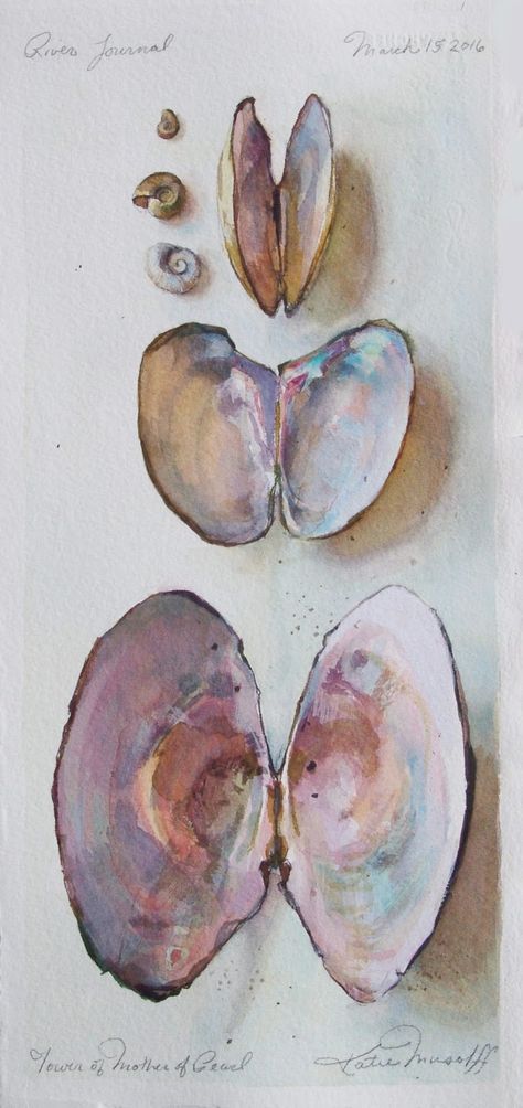 Shell Oil Painting, Watercolor Ocean Art, Shells Watercolour, Watercolor Pearl, Shell Drawings, Sea Shell Painting, Oyster Watercolor, Watercolor Sea Creatures, Watercolor Shells