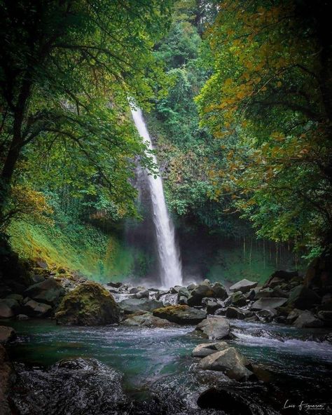 San Carlos Costa Rica, Costa Rica, Water, On Instagram, Instagram, San Carlos, Santos