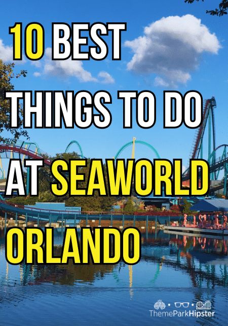 What To Wear To Sea World Outfit, Seaworld Outfit Ideas, Sea World Outfit, Seaworld Outfit, Beach Day Trip From Orlando, Seaworld Orlando Itinerary, Things To Do Orlando, Sea World Orlando, Sea Life Orlando Aquarium