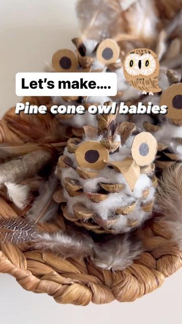 Forest Animal Kindergarten, Activities With Pine Cones, Autumn Animal Activities, Owls Eyfs Activities, Owl Nature Craft, Bird Eyfs Activities, Owls Kindergarten Activities, Owl Theme Preschool Activities, Owl Babies Craft