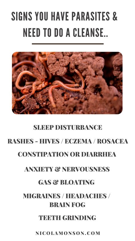 Parasites don't just live in your gut. They can thrive in your liver, gallbladder, skin, brain, lungs and more.. And most people have them whether they are symptomatic or not. My blog post shares causes, signs and key considerations before starting a parasite cleanse. Let's get rid of the critters. #parasitecleanse #howtogetridofparasites #detox #healthybody Amish Parasite Cleanse Recipe, Best Parasite Cleanse, Clean Gut, Skin Parasites, Lung Detox, Parasite Cleanse, Just Live, Biggest Loser, Cleanse Me