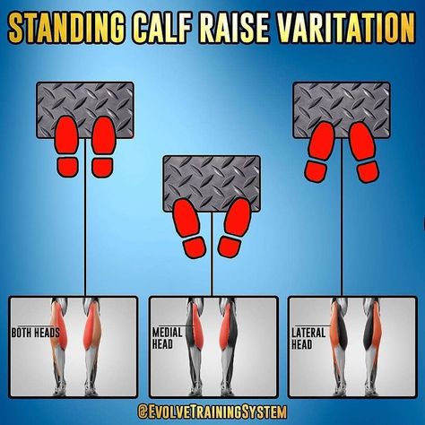 It’s all about the variations! Credit @evolvetrainingsystem Follow @muscle.matics  Different angles, different stimulus, keep it fun and… Best Calf Exercises, Standing Calf Raise, Leg Workouts Gym, Calf Exercises, Trening Sztuk Walki, Gym Antrenmanları, Muscle Abdominal, Gym Workout Chart, Gym Tips