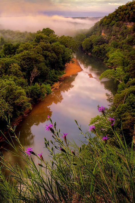 Vilander Bluffs on the Meramec River in Missouri | Scaly Bla… | Flickr Alabama Roll Tide, Missouri River, River Photography, White River, Roll Tide, Summer Reading, Missouri, Alabama, Reading