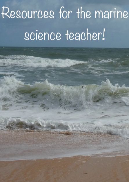 Aquatic Science High School, Biology Activities High School, Layers Of The Ocean, High School Electives, Biology Activity, Ap Environmental Science, Marine Science, High School Activities, Science Guy