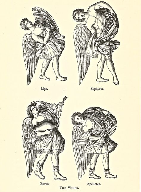 Illustration of The Four Winds from an 1898 version of Bullfinch's Mythology from an Ephemera Grab Bag on Greek Mythology. Argus Greek Mythology, Myth Art, Wind Spirit, Wind God, The Four Winds, Spirit Magic, Four Winds, Textiles Projects, Four Arms