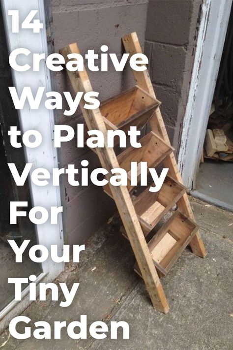 Diy Vertical Garden, Vertical Garden Systems, Vertical Garden Ideas, Backyard Playhouse, Vertical Vegetable Garden, Vertical Herb Garden, Vertical Garden Diy, Patio Shade, Diy Gardening