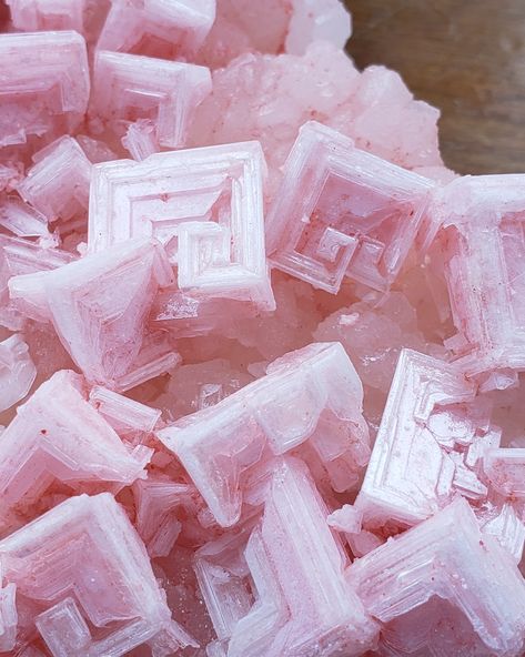 Halite Crystals, Gem Cave, Crystal Collection Display, Crystal Encyclopedia, Pink Halite, Salt Crystals, Crystal Garden, Salt Crystal, Crystal Formations