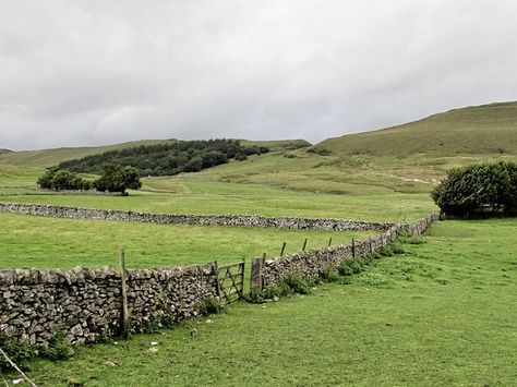 green grass photo – Free Image on Unsplash Irish Fields, Plants Uk, Hope Valley, Irish Countryside, Farm Field, English Countryside, Green Grass, Watercolor Landscape, Bergen