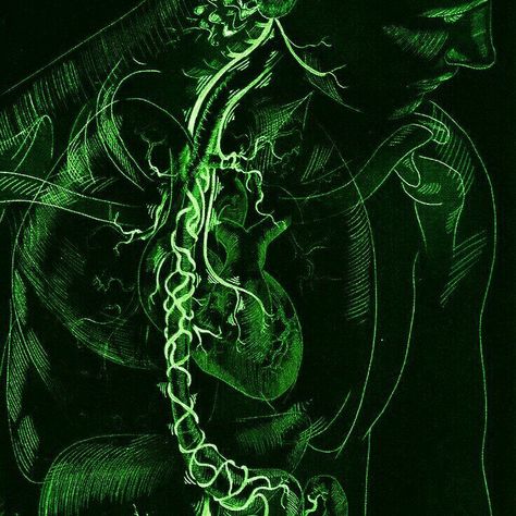 Poison Aesthetic Green, Green Monster Aesthetic, Necromancer Aesthetic Green, Green Skull Aesthetic, Leprechaun Aesthetic, Dark Neon Green Aesthetic, Lich Aesthetic, Green Goblin Aesthetic, Green Grunge Aesthetic