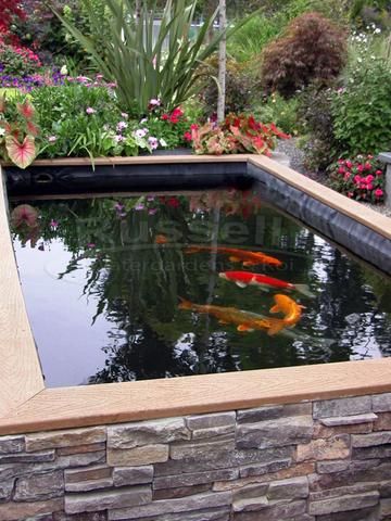 Fish Pond Design, Fish Ponds Backyard, Koi Pond Design, Fish Pond Gardens, Garden Pond Design, Diy Pond, Pond Landscaping, Garden Storage Shed, Koi Fish Pond