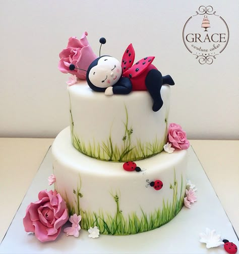 Ladybug Cake Ideas, Ladybug Birthday Cake, Ladybird Cake, Bug Baby Shower, Ladybug Cakes, Fairy Birthday Cake, Bug Cake, Ladybug Cake, Bolo Red Velvet