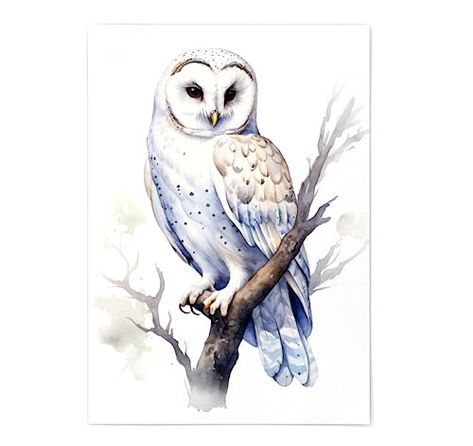 Owl Print - Owl Wall Decor - Owl Print Poster Unframed - Watercolor Owl Print - Cute White Owl Portrait - Owl Artwork Illustration - Various Sizes Available (11x14) Owl Artwork Illustrations, Men Home Office, Owl Portrait, Owl Wall Decor, Owl Artwork, Matte Paint, White Owl, Owl Wall, Owl Print