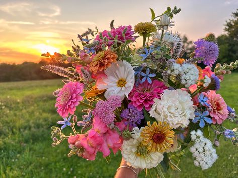 Mixed Flower Bouquet, 2025 Wedding, Cabin Wedding, Reference Pics, Boquette Flowers, Prom Flowers, Flowers Ideas, Nothing But Flowers, Wildflower Bouquet