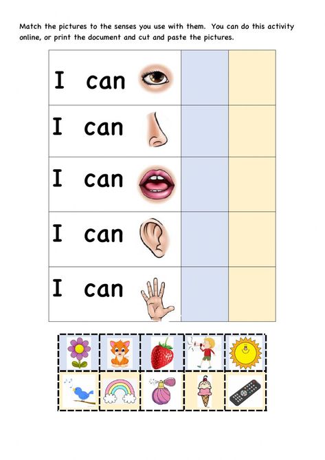 5 Senses Match worksheet My Senses Worksheets, Five Senses Worksheet Free Printable, Senses Matching Worksheet, Vpk Worksheets, Five Senses Kindergarten Worksheets, Senses Worksheets For Kids, 6 Senses, Five Senses Kindergarten, Panca Indra