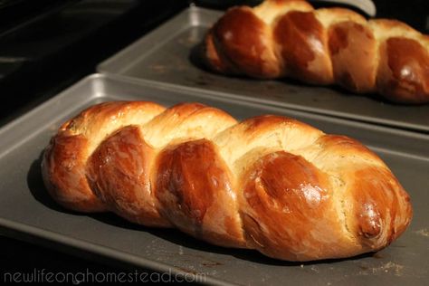 Bread Machine Braided Challah Recipe Tutorial • New Life On A Homestead | Homesteading Blog Challah Bread Machine Recipe, Bread Machine Recipes Sweet, Shopping Challenge, Easy Bread Machine Recipes, Challah Recipe, Challah Bread Recipes, Venison Roast, Best Bread Machine, Bread Maker Recipes