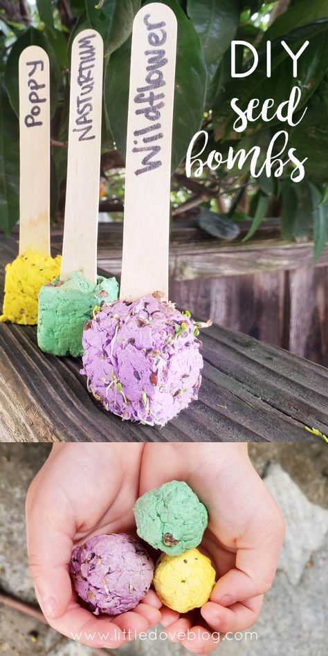 diy seed bomb pops for earth day - Little Dove Blog Spring Party Crafts For Kids, Planting Seed Activity For Kids, Plant A Flower Day Activities, Diy Seed Balls, Garden School Ideas, Diy Seed Library, Spring Garden Crafts For Kids, First Day Of Spring Activities For Kids, Earth Day Seed Bomb Printable