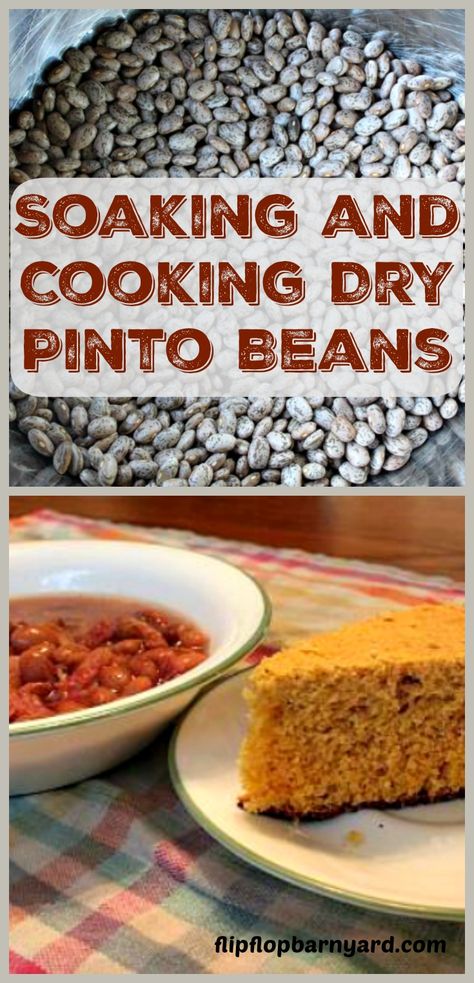 Soaking and Cooking Dry Beans. Dry beans need to be soaked to cook them properly. Here is how to soak and cook beans. Cooking Dry Beans, Soaking Beans, Wood Cookstove, Homestyle Cooking, Cooking Beans, Cook Beans, Beans And Cornbread, How To Cook Artichoke, Pinto Bean Recipes