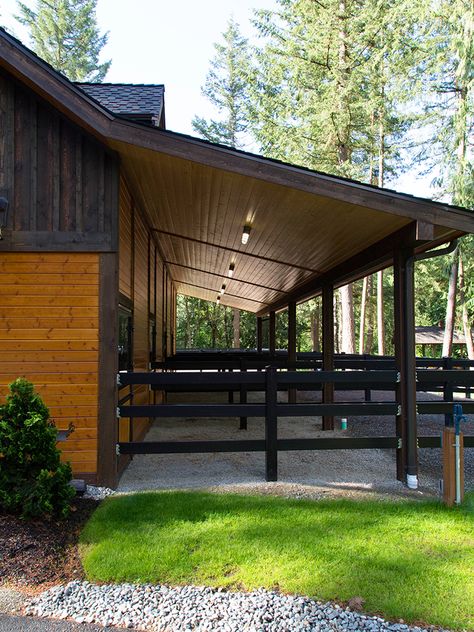 Shade For Horses, Shedrow Horse Barn, Horse Barn Ideas, Dream Barn Stables, Small Horse Barns, Horse Farm Ideas, Horse Barn Ideas Stables, Barn Stalls, Horse Barn Designs