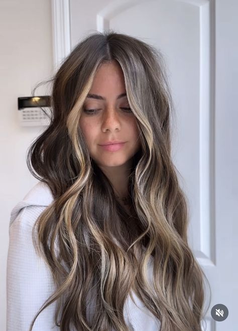 Brunette Hair With Subtle Money Piece, Partial Highlights Dark Hair, Brunette With Subtle Blonde Highlights, Low Lights With Money Piece Brown Hair, Caramel Latte Hair, Dark With Blonde Highlights, Blended Balayage, From Blonde To Brunette, Soft Highlights For Brown Hair