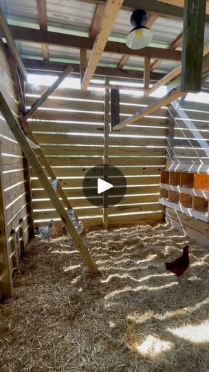 Farming Chickens, Roosting Bars, Automatic Waterer, Chicken Owner, Favorite Chicken, Egg Laying, Nesting Boxes, Happy Healthy, Chicken Coop