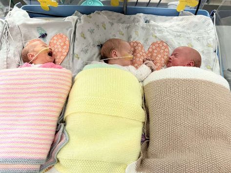 Quadruplets Nursery, Triplets Babies Newborns, Triplet Nursery, Triplets Nursery, Identical Quadruplets, Newborn Triplets, Triplets Pregnancy, Identical Triplets, Multiple Births