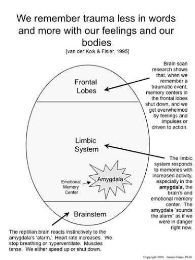 Montgomery Tubercles, Janina Fisher, Therapy Counseling, Counseling Resources, Family Therapy, Group Therapy, School Psychology, Therapy Tools, Sensory Experience