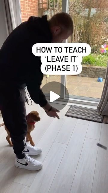 Dog Tricks, My Memories, Dog Training Videos, Dog Hacks, Old Video, Training Video, Dog Training Tips, Puppy Training, Training Tips