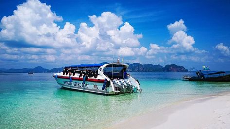 Krabi 4 island tour by speedboat with lunch Krabi Thailand Aesthetic, Coral Island Thailand, Things To Do In Krabi Thailand, Island Chicken, 4 Island Tour Krabi, Thailand Krabi, Mangrove Forest, Marine Conservation, Family Trips