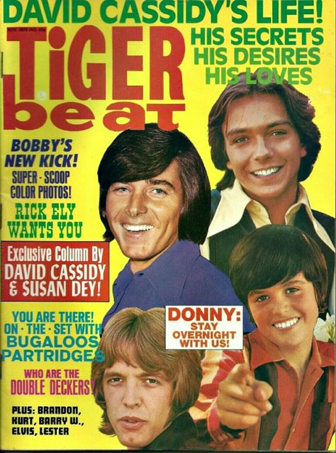 David Cassidy Tiger Beat Tiger Beat Magazine, Bobby Sherman, Michael Cole, Old Magazine, Tiger Beat, Donny Osmond, Teen Magazine, Davy Jones, The Monkees