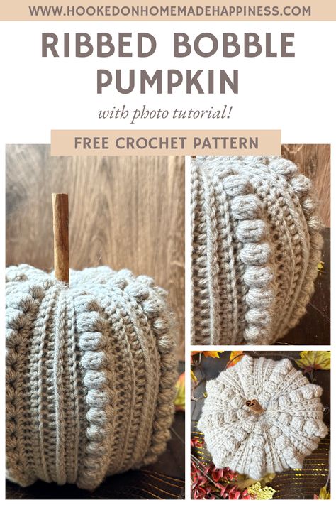 Pumpkin Crochet Pattern, Crochet Fall Decor, Pumpkin Crochet, Autumn Pumpkins, Fall Crochet Patterns, Halloween Crochet Patterns, Pumpkin Ideas, Crochet Fall, Holiday Crochet