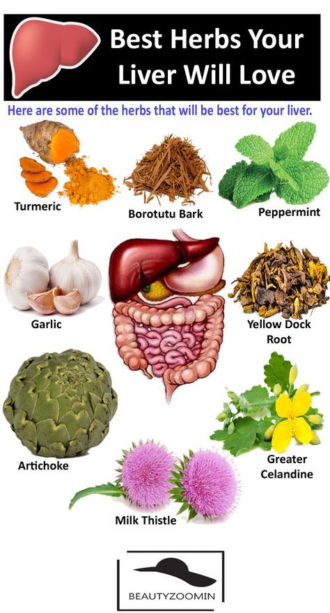 Flush Out Toxins, Liver Diet, Herbs For Health, Eating Tips, Liver Detox, Healthy Liver, Milk Thistle, The Liver, Liver Health