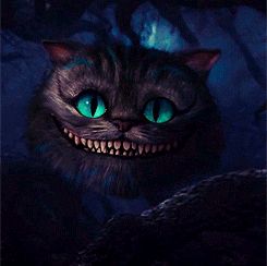 Cheshire Cat Quotes, Cheshire Cat Tattoo, Cheshire Cat Smile, Cheshire Cat Alice In Wonderland, Smile Gif, Alice In Wonderland Costume, Wonderland Quotes, Disney Costumes, Adventures In Wonderland