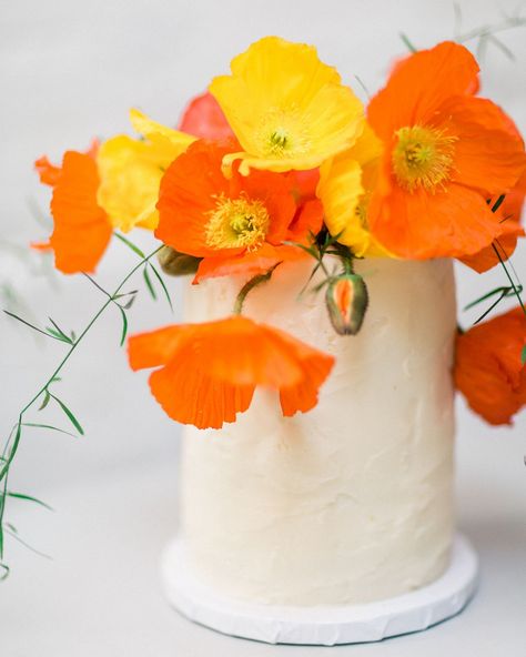 Cake With Bright Flowers, Wedding Cake Orange Flowers, Poppy Flower Cake, Yellow Flower Cake, Flower Cake Ideas, Single Tier Wedding Cake, Wafer Flowers, Wedding Cake Greenery, Grandma Cake