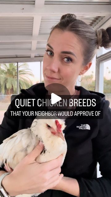 Chickens & Gardening • Lyndsey Gaskins on Instagram: "Your neighbor won’t even know they’re there! 😉 Here’s a list of my quiet breeds: Brahma Golden Buff Porcelain d’Uccle Green Queen/Easter Egger Barred Rock Other quiet breeds to consider (according to friends) : Orpington Faverolle Silkies Sussex Delaware Did I miss anyone? Add your quietest chickens in the comments! 🙌🏼 #chickentending #farmlife #chickensofinstagram #chickentips #farming101 #urbanfarmers #chickensofinstagram🐔 #raisingchicks #raisingchickens #mhambassador" Green Queen Chicken, Easter Eggers Chickens, Faverolle Chickens, Buff Orpington Chickens, Easter Egger Chicken, Brahma Chicken, Barred Rock, Buff Orpington, Easter Eggers