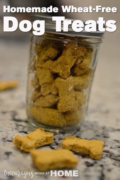 Grain Free Dog Treats Homemade, Healthy Puppy Treats, Wheat Free Dog Treats, Dog Treats Homemade Pumpkin, Dog Cookie Recipes, Pet Treats Recipes, Dog Treats Homemade Easy, Dog Treats Grain Free, Dog Biscuits Homemade