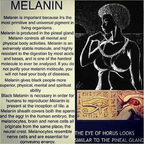 Melanin African History Truths, History Poster, Starověký Egypt, Kemetic Spirituality, Black Fact, Black Consciousness, African Spirituality, Pineal Gland, Spirit Science